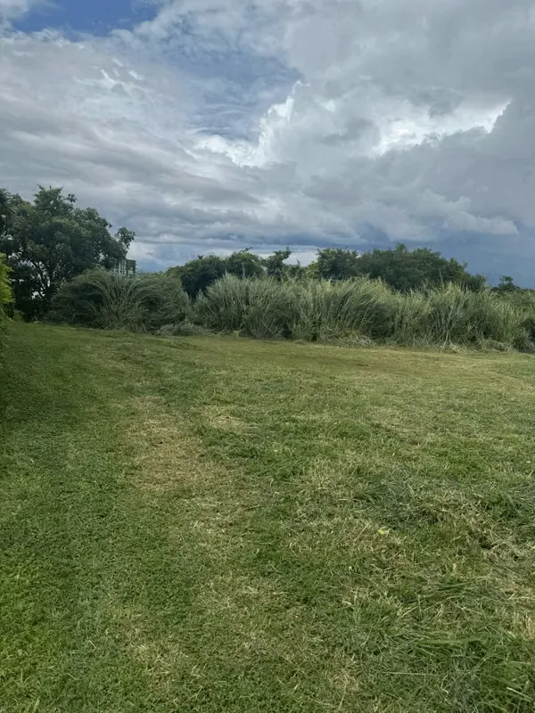 Land for Sale in La Uruca, San José. — photo 2