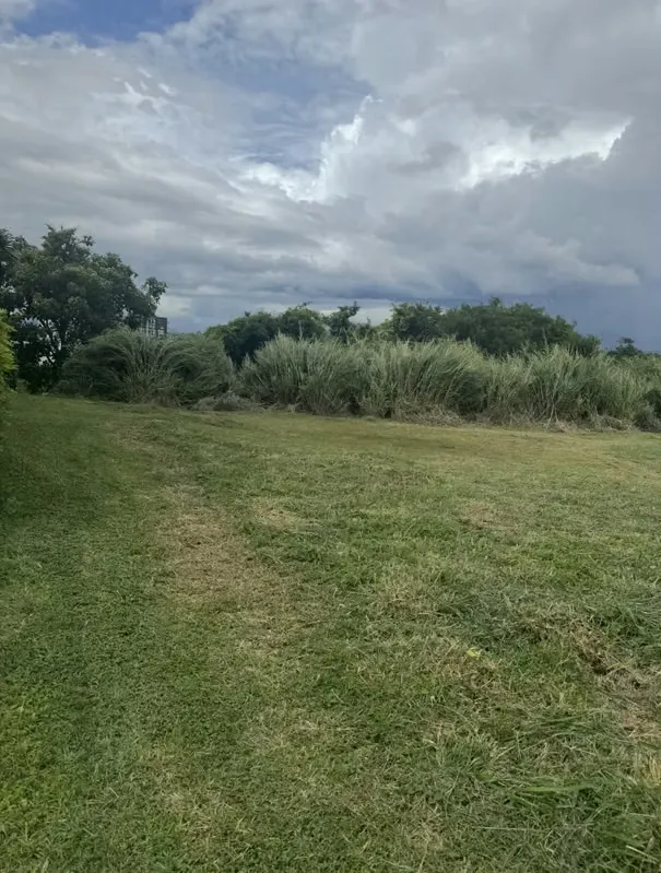 Land for Sale in La Uruca, San José. — photo 4