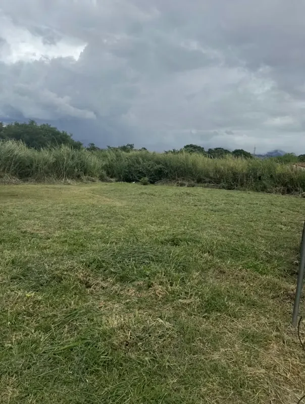 Land for Sale in La Uruca, San José. — photo 5
