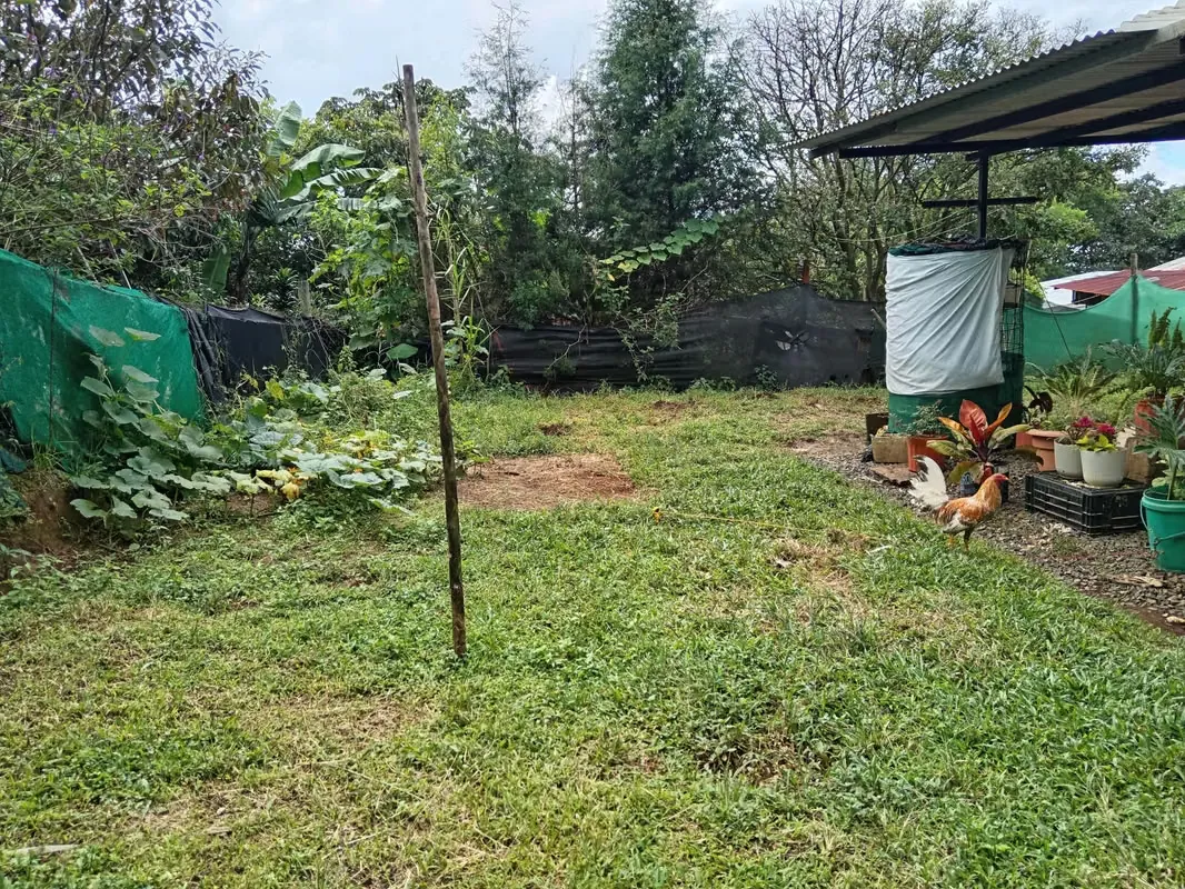 MA Asesoría vende propiedad con Casa de una planta, en Cirrí Sur de Naranjo, Alajuela