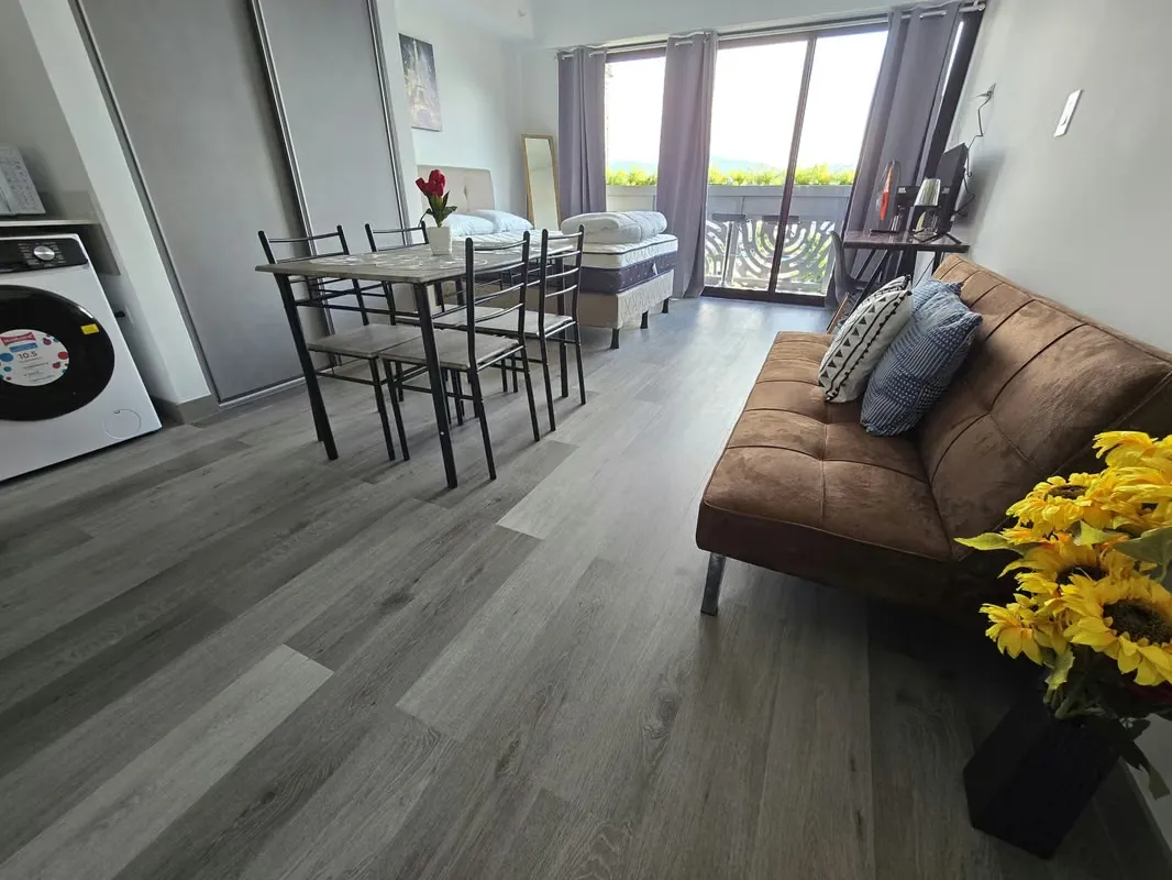 Studio Apartment Rental - 124; Barrio Escalante, San José — photo 4