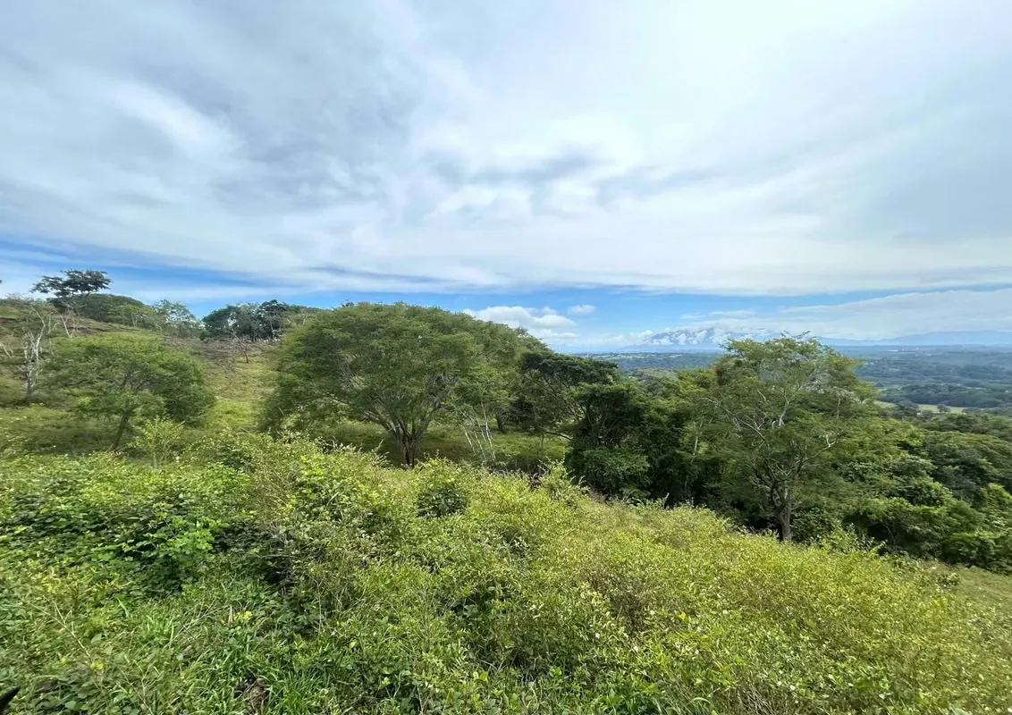 Discover an exceptional 81 HA multi-use property in Esparza, Puntarenas, currently dedicated to cattle breeding. This unique land features natural spring water and is adorned with a ...