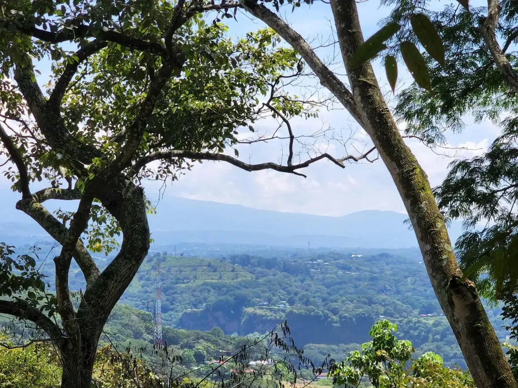 Descubra un terreno excepcional de 14.798 m², ubicado en las imponentes colinas de Atenas, un lugar privilegiado donde la naturaleza, la privacidad y la vida de ...