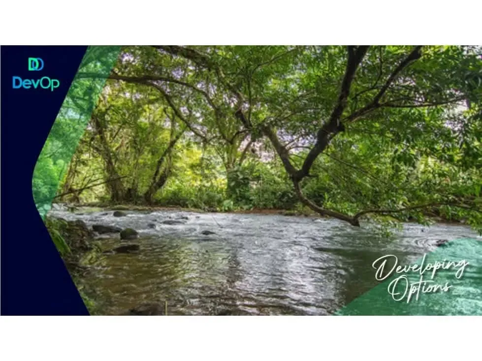 Venta de finca en San Ramón de Alajuela