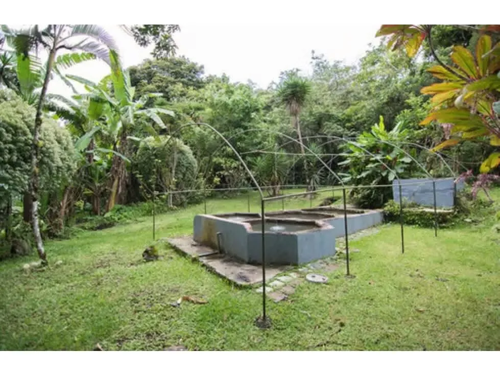 MA Asesoría le brinda la oportunidad de adquirir una hermosa finca de café en producción, ubicada en Piedades Norte de San Ramón, colindante con el río La Paz. — photo 2