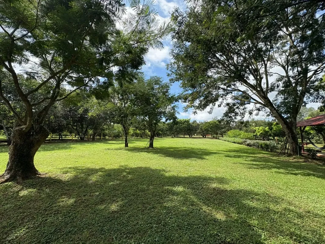 Lote en Venta en Orotina de Alto Potencial IP