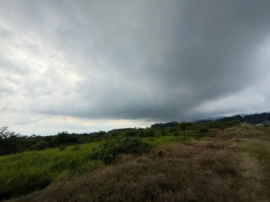 DESCRIPCIÓN GENERAL: lote rodeado de naturaleza y con un entorno de total ... — photo 4