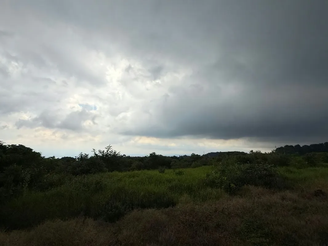 DESCRIPCIÓN GENERAL: lote rodeado de naturaleza y con un entorno de total ... — photo 5