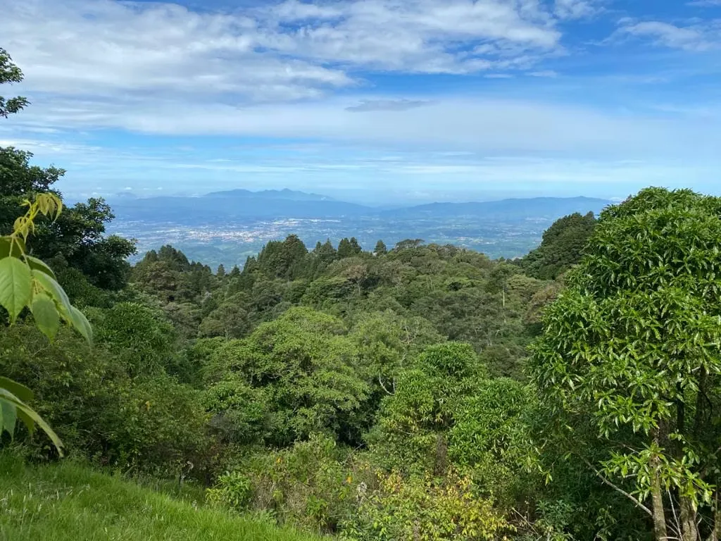 Rodeada de naturaleza y con un clima fresco todo el año, esta propiedad ofrece amplitud, ...