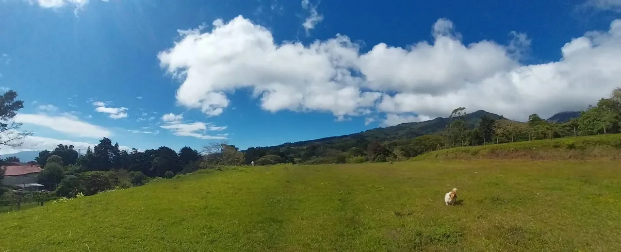 Land with incredible mountain view, San Isidro Heredia 3,502mtrs2