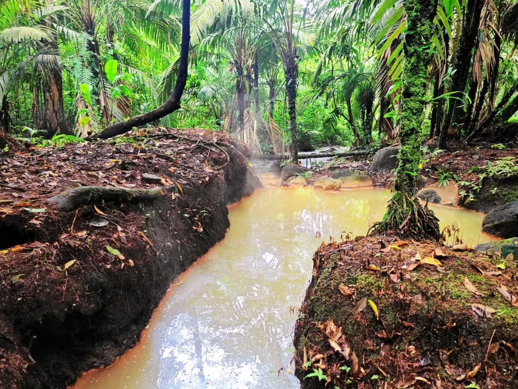 Farm with Natural Hot Springs for Sale – El Gavilán, Upala