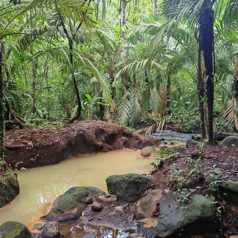 Farm with Natural Hot Springs for Sale – El Gavilán, Upala — photo 3