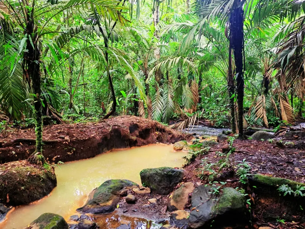 Farm with Natural Hot Springs for Sale – El Gavilán, Upala — photo 5