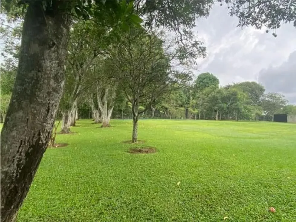 VENTA DE TERRENO, ALAJUELA, CACAO 7415176 (HC)