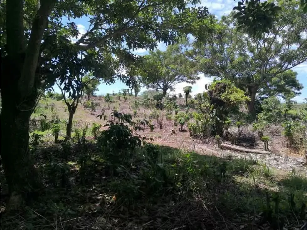 Finca en venta en Heredia, Desarrollo 5PDC9654705