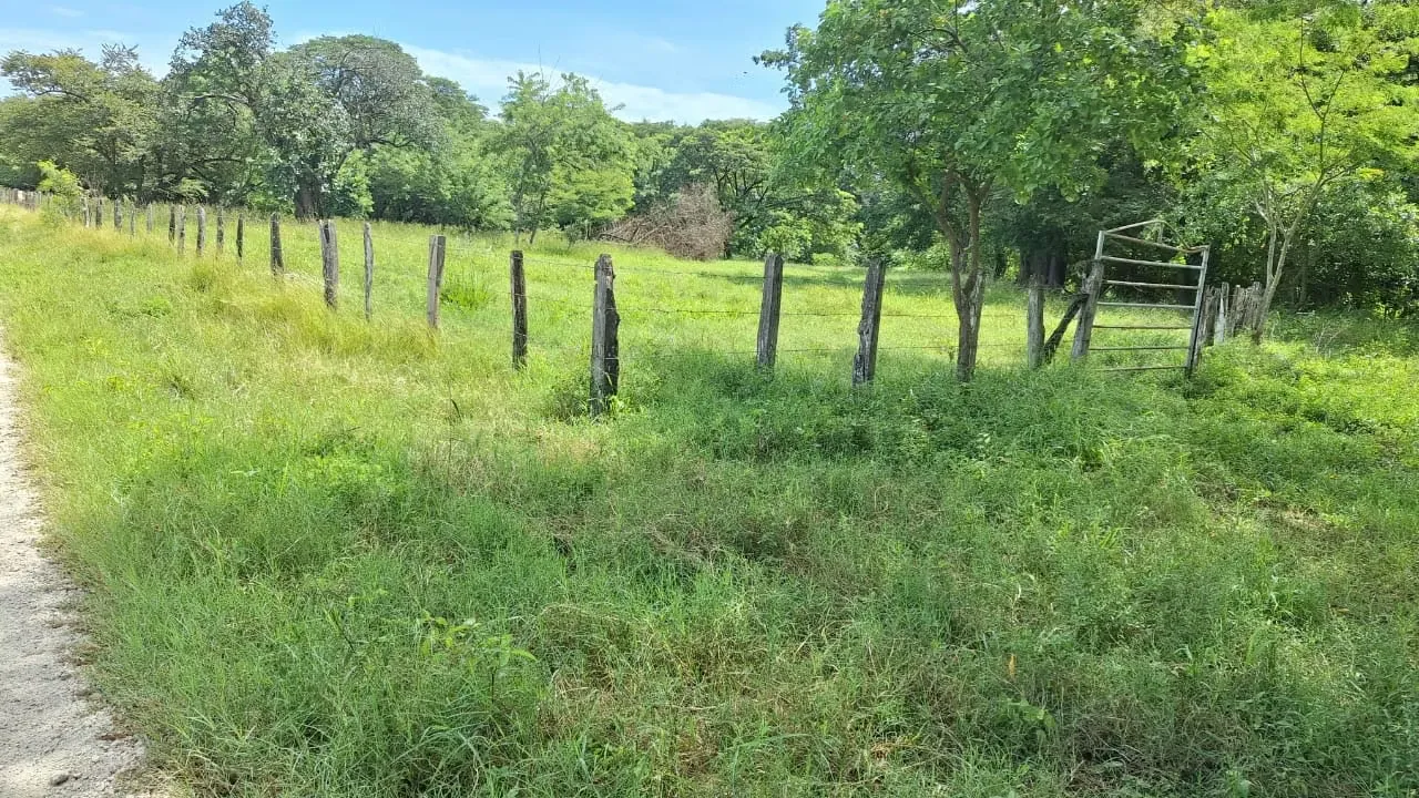 For sale: Beautiful flat farm located ...