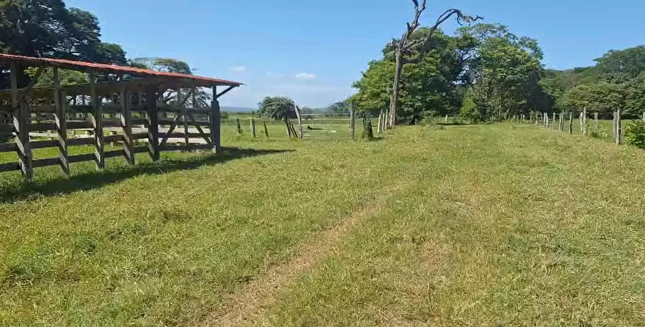 Spacious flat farm of 60 hectares, located in Caballito de Nicoya, a region known for its cattle ranching tradition, fertile soil, ...