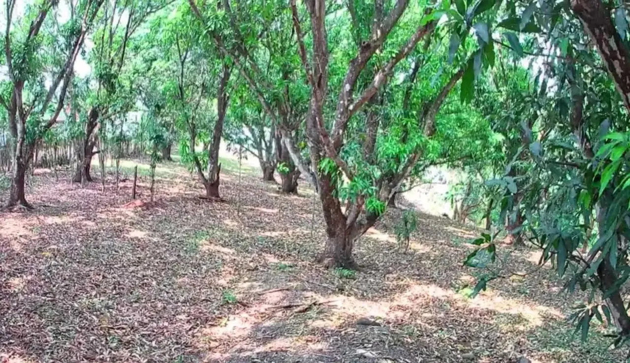 Lot for sale in Orotina, Alajuela