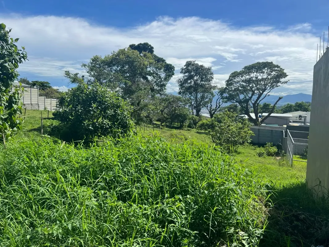 Lot for sale in Bebedero, San Antonio – Excellent location — photo 2