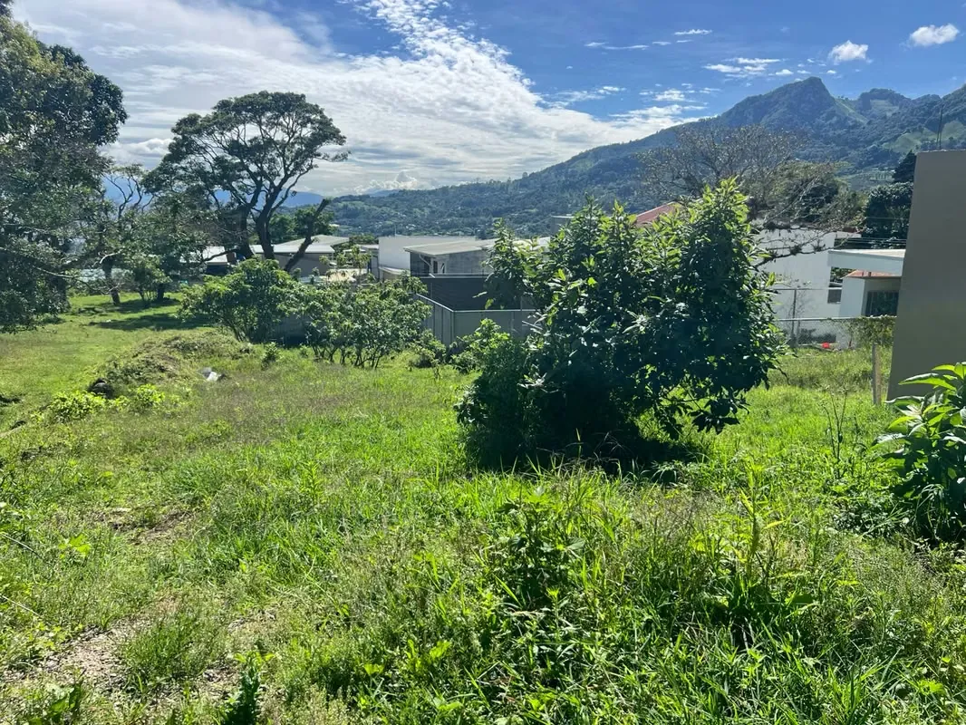 Lot for sale in Bebedero, San Antonio – Excellent location — photo 3