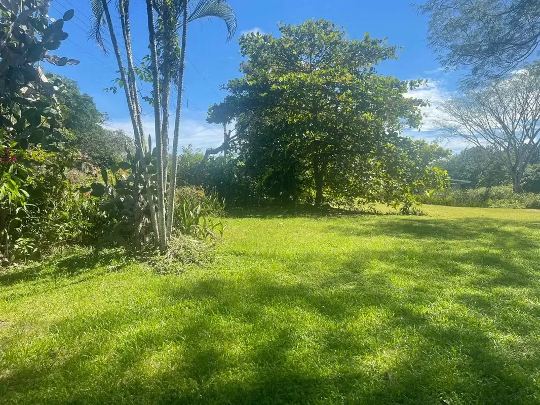 Paraíso escondido en Orotina: 4,919 m² para la vida que soñás