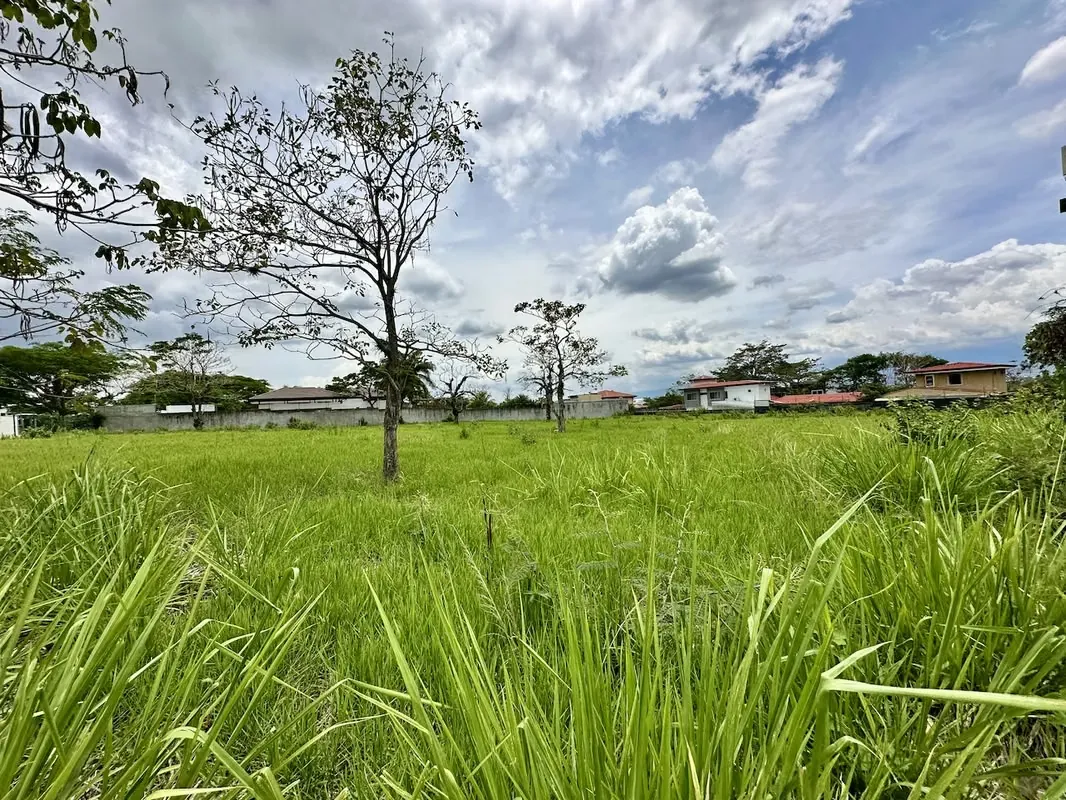 Lot for Sale in La Caraña – Santa Ana