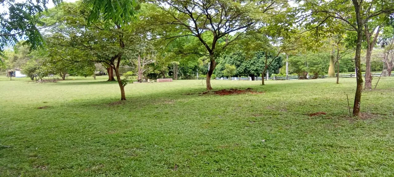 Country house for sale in Quintas Del Campo Condominium – Orotina — photo 3