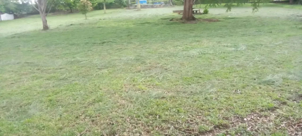 Country house for sale in Quintas Del Campo Condominium – Orotina — photo 5