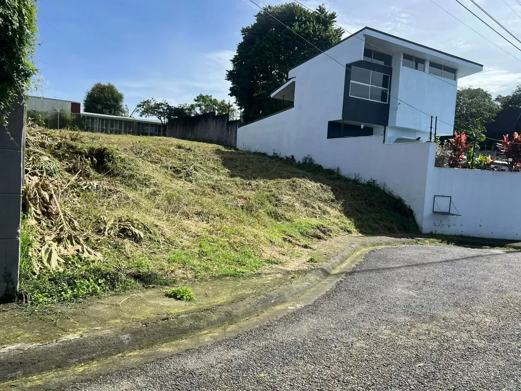 id 40090 Venta de lote Concepción de Tres Ríos
