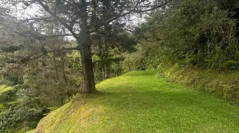 For Sale: Beautiful Investment Estate – Estrella del Guarco, photo 4