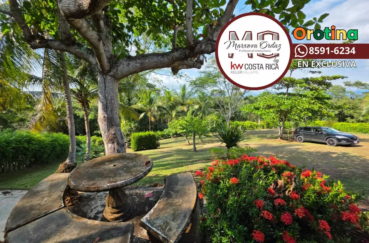 FOR SALE: Property with 3,333 m² of pure nature in La Ceiba