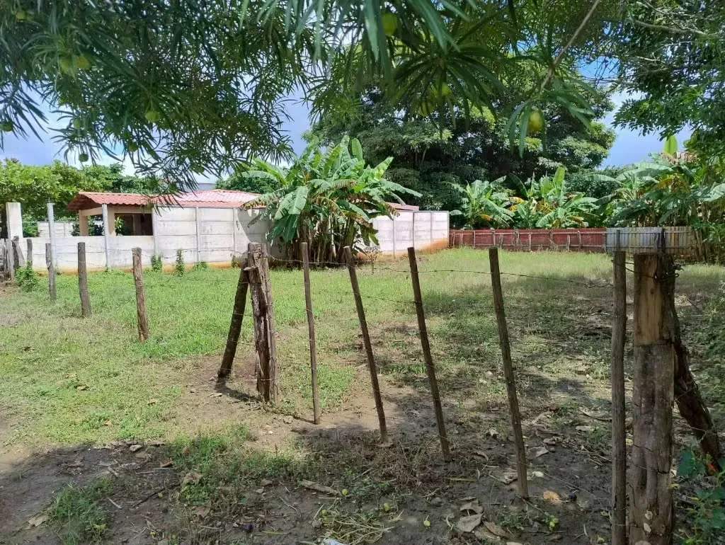 Lot located in Belén de Carrillo, near the intersection towards Guacas