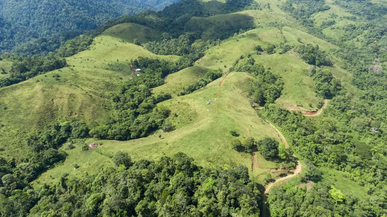 A solo 55 min del canton de San Ramón, Alajuela, esta finca ofrece: