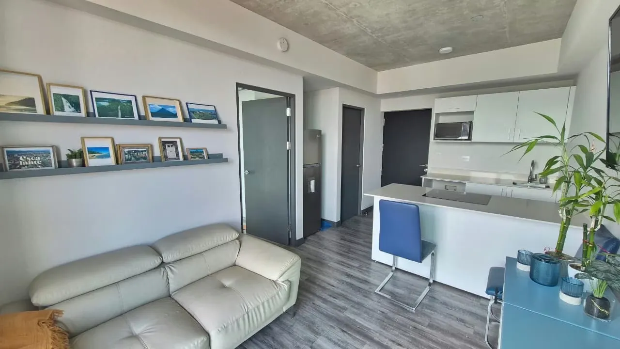 Se Alquila Apartamento de 1 Habitación Amueblado en Secrt, Sabana, San José — photo 5