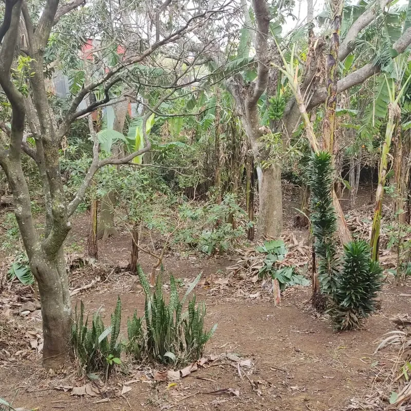 Lote en venta en San Pablo de Heredia