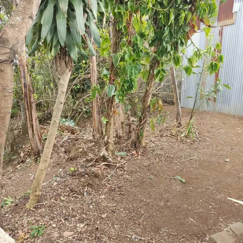 Lote en venta en San Pablo de Heredia — photo 2