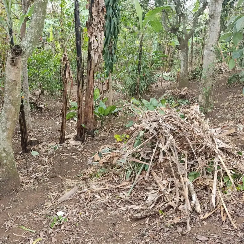 Lote en venta en San Pablo de Heredia — photo 4