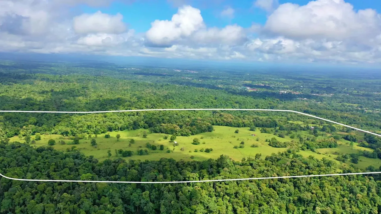 Venta de Finca Ganadera (Lechera) en Guácimo de Limón-1