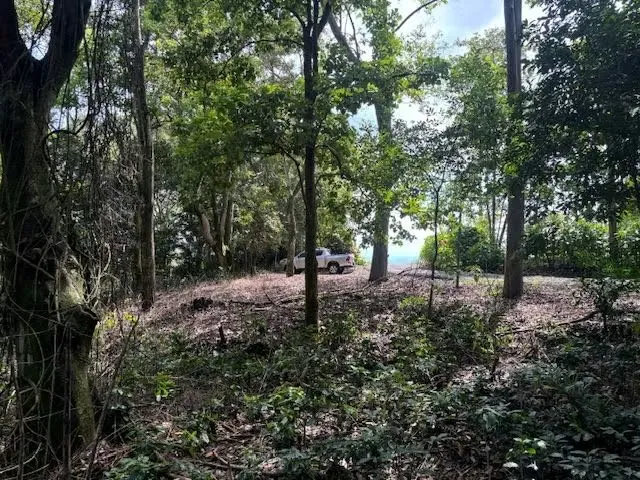 Uno de los últimos lotes ubicados en una comunidad privada adyacente a la naturaleza en Atenas.