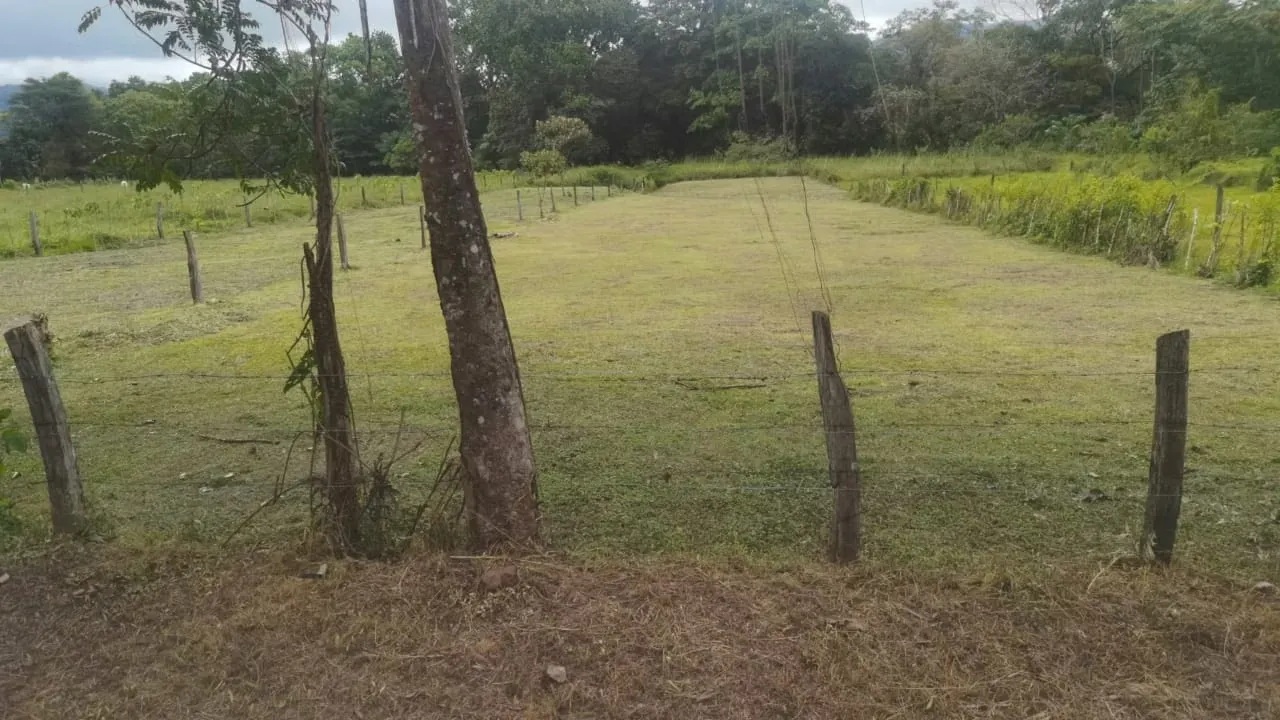 Localizado en San Pablo de Turrubares, 300 metros del Colegio Agropecuario y a tan sólo 10 minutos de la ruta 27. — photo 3