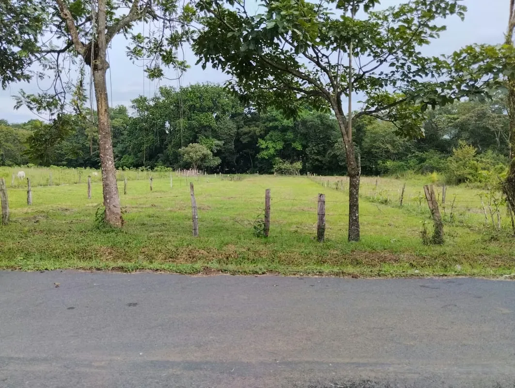 Localizado en San Pablo de Turrubares, 300 metros del Colegio Agropecuario y a tan sólo 10 minutos de la ruta 27. — photo 4