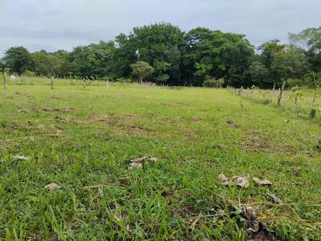 Localizado en San Pablo de Turrubares, 300 metros del Colegio Agropecuario y a tan sólo 10 minutos de la ruta 27. — photo 5