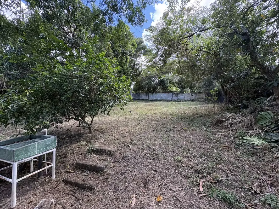 Precioso lote plano, con una forma muy regular y con una casa que se puede remodelar o remover; la casa cuenta con 3 habitaciones, ...