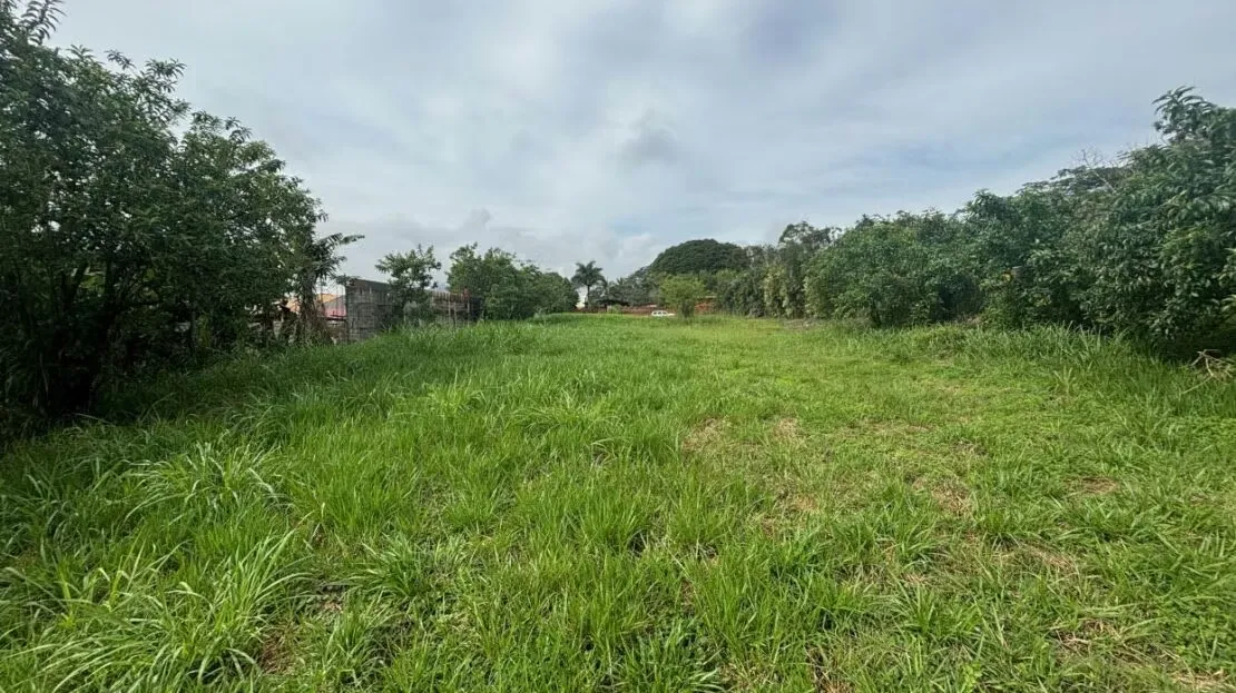 Lote de 3906m2 en area exclusiva de Atenas muy aprovechable