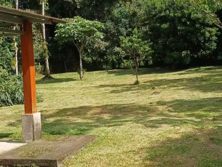 Spacious Lot with House in Buenos Aires, Jiménez de Pococí — photo 3