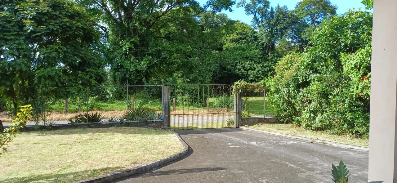 Spacious Lot with House in Buenos Aires, Jiménez de Pococí — photo 5