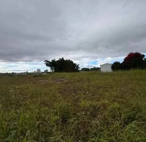 Large lot for sale in San Pedro ready for development — photo 3