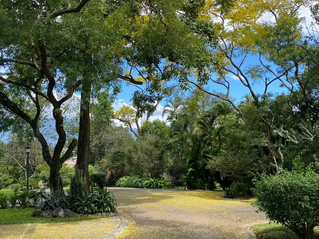 Ubicado en uno de los condominios mas exclusivos de Guachipelín de Escazú. Terreno amplio de uso residencial, cuenta con una magnifica vista hacia las montañas. No se permite ...