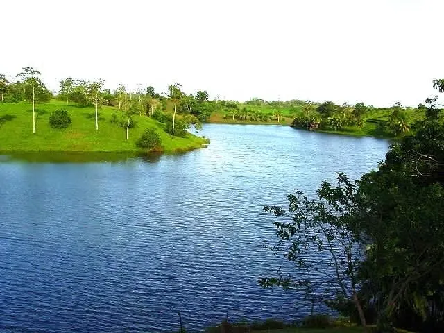 LOTE AMAPOLAS is a beautiful property of 5,747 m² (1.42 acres) right in front of pristine Lake Cutris. It is nestled in a peaceful and safe rural neighborhood of San Carlos, Alajuela, ...