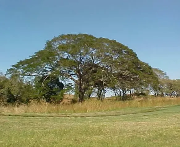 Venta de terreno residencial en Hacienda Pinilla